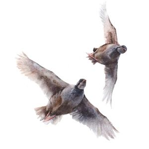 Meet your Posher, Leesha